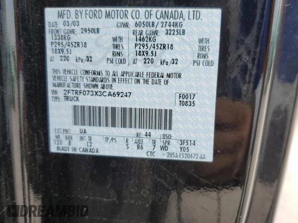 2003 Ford F-150 Lightning with VIN 2FTRF073X3CA69247, listed as a Copart auction lot 76484874 with 0 mi miles and Salvage Title. Bid and sale history available at carsss.com. Image 13.