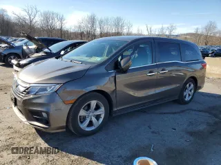 2019 Honda Odyssey EX-L with VIN 5FNRL6H7XKB066983, listed as a Copart auction lot 51290955 with 23,731 mi miles and Salvage Title. Bid and sale history available at carsss.com. Image 1.