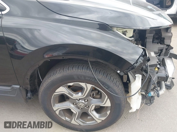 2019 Honda CR-V EX with VIN 5J6RW1H50KA009753, listed as a IAAI auction lot 41920084 with 59,129 mi miles. Bid and sale history available at carsss.com. Image 14.
