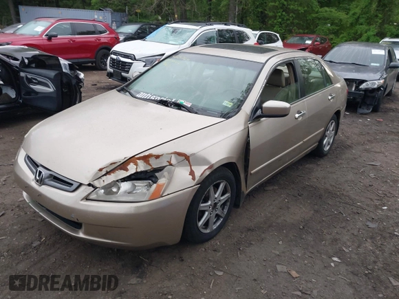 2003 Honda Accord EX z VIN 1HGCM665X3A075800, wystawiony jako IAAI lot #42231769 z przebiegiem 180 000 mil mil oraz . Historia ofert i sprzedaży dostępna na DreamBid. Obrazek 2.