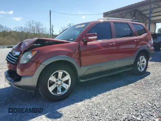 2009 Kia Borrego LX with VIN KNDJJ741495018773, listed as a Copart auction lot 48146845 with 190,495 mi miles and Salvage Title. Bid and sale history available at carsss.com. Image 1.