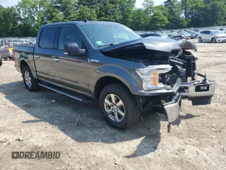 2019 Ford F-150 XL with VIN 1FTEW1EP7KFA47638, listed as a Copart auction lot 60193125 with 127,022 mi miles and Salvage title. Bid and sale history available at DreamBid. Image 4.