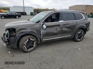 2025 Kia Telluride S with VIN 5XYP6DGCXSG602650, listed as a Copart auction lot 53867535 with 8,532 mi miles and Non repairable. Bid and sale history available at DreamBid. Image 1.
