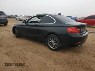 2014 BMW 2 Series 228i with VIN WBA1F5C5XEVV99178, listed as a Copart auction lot 87931195 with Not Provided miles and Salvage Title. Bid and sale history available at carsss.com. Image 2.
