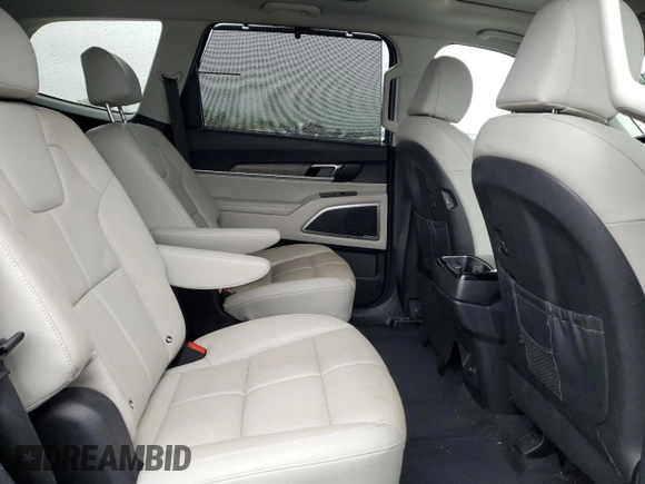 2022 Kia Telluride EX with VIN 5XYP3DHC2NG255732, listed as a Copart auction lot 52604795 with 32,117 mi miles and Salvage title. Bid and sale history available at DreamBid. Image 12.
