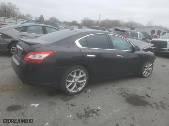 2009 Nissan Maxima 3.5 SV w/Sport Pkg with VIN 1N4AA51E29C847564, listed as a Copart auction lot 48380135 with 0 mi miles and Salvage Title. Bid and sale history available at carsss.com. Image 3.