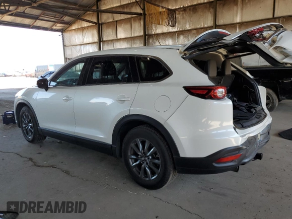 2020 Mazda CX-9 Touring with VIN JM3TCBCY1L0414112, listed as a Copart auction lot 58260255 with 66,773 mi miles and Salvage title. Bid and sale history available at DreamBid. Image 2.