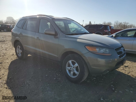 2007 Hyundai Santa Fe GLS with VIN 5NMSG13D37H099321, listed as a Copart auction lot 49317285 with 241,115 mi miles and Salvage Title. Bid and sale history available at carsss.com. Image 4.