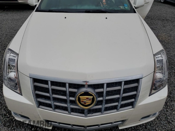 2012 Cadillac CTS Premium with VIN 1G6DS5E37C0101491, listed as a Copart auction lot 74605004 with Not Provided miles and Non Repairable. Bid and sale history available at DreamBid. Image 11.