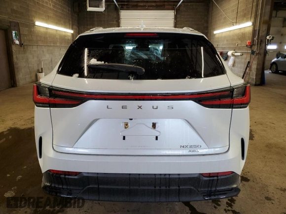 2022 Lexus NX with VIN 2T2ADCEZ5NC001848, listed as a Copart auction lot 45731204 with 48,086 mi miles and Non Repairable. Bid and sale history available at carsss.com. Image 6.