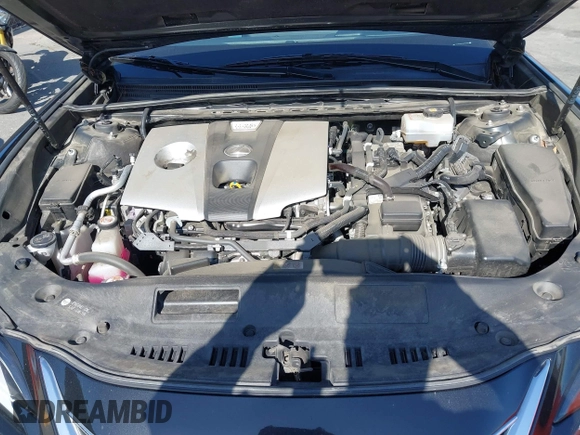 2019 Lexus ES 300h with VIN JTHB21B11K2024098, listed as a IAAI auction lot 42082628 with 92,280 mi miles and . Bid and sale history available at DreamBid. Image 10.