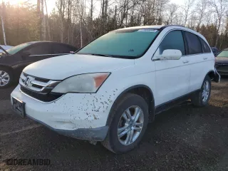 2010 Honda CR-V EX with VIN 5J6RE4H5XAL820239, listed as a Copart auction lot 51864045 with 202,177 mi miles and Salvage Title. Bid and sale history available at carsss.com. Image 1.