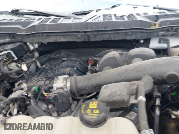 2021 Ford F-150 XL with VIN 1FTMF1EB1MKF01246, listed as a IAAI auction lot 41736886 with 44,558 mi miles and . Bid and sale history available at DreamBid. Image 10.