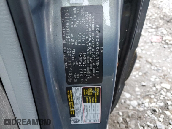 2006 Kia Sedona LX with VIN KNDMB233566097439, listed as a Copart auction lot 77644254 with 124,158 mi miles and Clean Title. Bid and sale history available at carsss.com. Image 13.