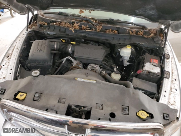 2009 Dodge Ram 1500 SLT with VIN 1D3HV13P99S755319, listed as a Copart auction lot 49531905 with 163,399 mi miles and Non Repairable. Bid and sale history available at carsss.com. Image 11.