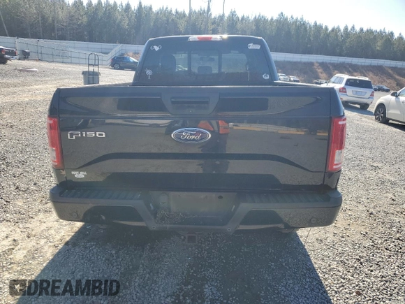 2016 Ford F-150 XL with VIN 1FTEX1CP9GFA20044, listed as a Copart auction lot 89380495 with 171,091 mi miles and Salvage Title. Bid and sale history available at carsss.com. Image 6.