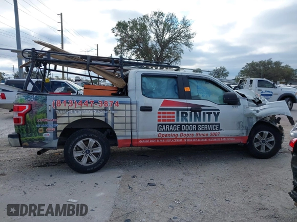 2019 Ford F-150 XL with VIN 1FTEW1CB9KFD18349, listed as a IAAI auction lot 41261246 with Not Provided miles and . Bid and sale history available at DreamBid. Image 13.