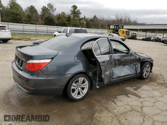 2010 BMW 5 Series 528i with VIN WBANU5C51AC127674, listed as a Copart auction lot 48110725 with 147,262 mi miles and Salvage Title. Bid and sale history available at carsss.com. Image 3.