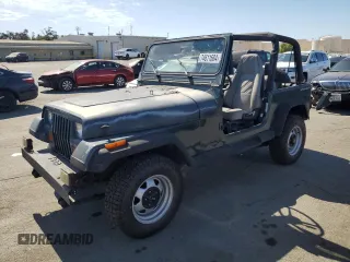 1994 Jeep Wrangler with VIN 1J4FY29S0RP422853, listed as a Copart auction lot 74611684 with 172,177 mi miles and Salvage Title. Bid and sale history available at carsss.com. Image 1.