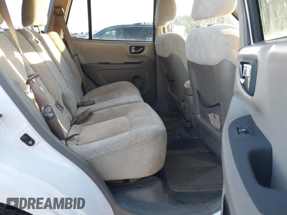 2006 Hyundai Santa Fe GLS with VIN KM8SC13D76U105720, listed as a IAAI auction lot 41559249 with 180,436 mi miles. Bid and sale history available at carsss.com. Image 8.