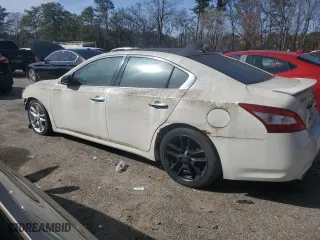 2010 Nissan Maxima 3.5 SV w/Premium Pkg with VIN 1N4AA5AP5AC842350, listed as a Copart auction lot 48255385 with 164,130 mi miles and Clean Title. Bid and sale history available at carsss.com. Image 2.