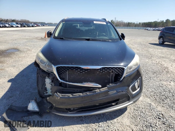 2016 Kia Sorento EX with VIN 5XYPH4A51GG146842, listed as a Copart auction lot 48959695 with 148,574 mi miles and Salvage Title. Bid and sale history available at carsss.com. Image 5.