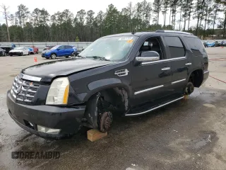 2007 Cadillac Escalade with VIN 1GYFK63857R317135, listed as a Copart auction lot 48921755 with 316,176 mi miles and Salvage Title. Bid and sale history available at carsss.com. Image 1.