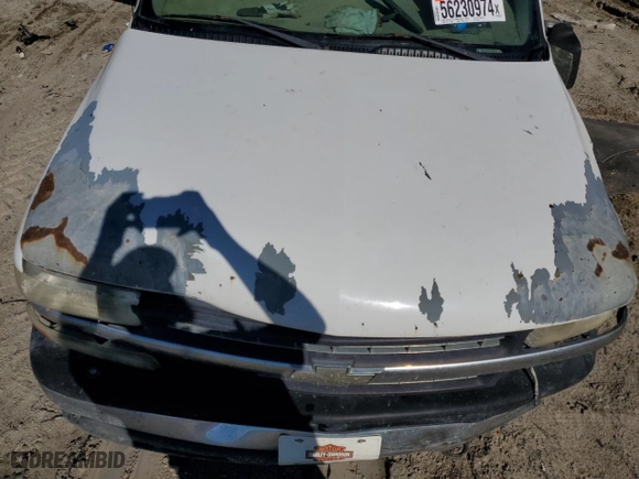 2002 Chevrolet Silverado 1500 LS with VIN 1GCEK14VX2Z209515, listed as a Copart auction lot 56230974 with 321,763 mi miles and Salvage Title. Bid and sale history available at carsss.com. Image 12.