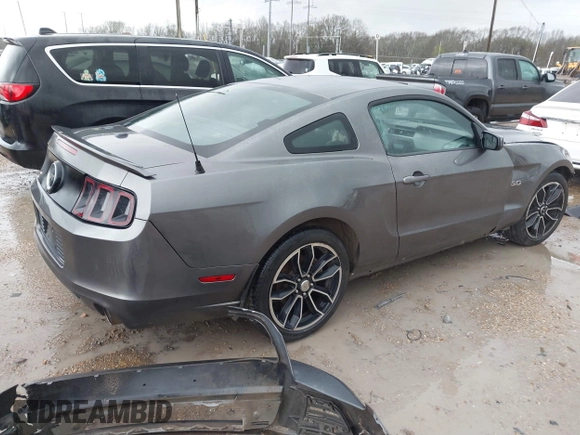 2013 Ford Mustang GT with VIN 1ZVBP8CFXD5252251, listed as a IAAI auction lot 41701508 with 171,781 mi miles. Bid and sale history available at carsss.com. Image 4.