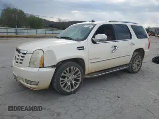 2009 Cadillac Escalade z VIN 1GYFC53259R123551, wystawiony jako Copart lot #50947345 z przebiegiem 263 763 mil mil oraz Czysty tytuł • Clean title. Historia ofert i sprzedaży dostępna na DreamBid. Obrazek 1.