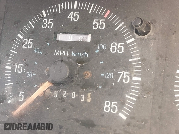 1987 Ford F-150 with VIN 1FTDF15Y2HNB10843, listed as a IAAI auction lot 41017280 with 25,203 mi miles. Bid and sale history available at carsss.com. Image 7.