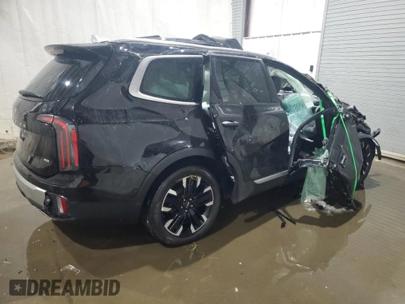 2024 Kia Telluride SX X-Line with VIN 5XYP5DGC9RG510605, listed as a Copart auction lot 44706145 with 24,318 mi miles and Non Repairable. Bid and sale history available at carsss.com. Image 3.