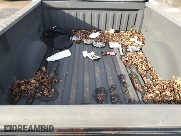 2000 Ford F-150 XL with VIN 1FTZF1725YNB93067, listed as a Copart auction lot 86750464 with Not provided miles and Salvage title. Bid and sale history available at DreamBid. Image 10.