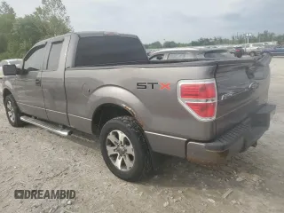 2013 Ford F-150 XL with VIN 1FTEX1CM2DFB20777, listed as a Copart auction lot 59378055 with 163,128 mi miles and Salvage title. Bid and sale history available at DreamBid. Image 2.