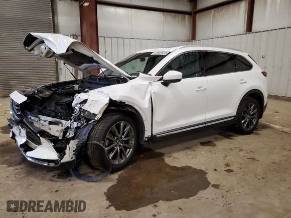 2020 Mazda CX-9 Signature with VIN JM3TCBEY1L0411773, listed as a Copart auction lot 52583935 with 53,236 mi miles and Non repairable. Bid and sale history available at DreamBid. Image 1.