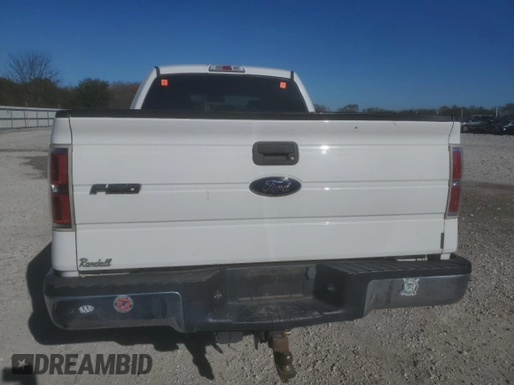 2014 Ford F-150 XL with VIN 1FTFX1CT6EKE65590, listed as a Copart auction lot 80848964 with 176,491 mi miles and Salvage Title. Bid and sale history available at carsss.com. Image 6.