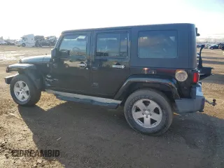 2010 Jeep Wrangler Unlimited Sahara with VIN 1J4BA5H18AL207844, listed as a Copart auction lot 48316825 with 221,599 mi miles and Clean Title. Bid and sale history available at carsss.com. Image 2.