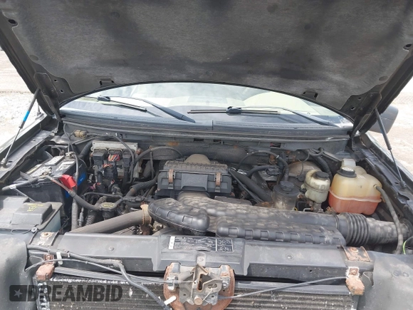 2008 Ford F-150 XLT с VIN 1FTPX14558FB88657, выставлен на аукционе IAAI как лот 42507471 с пробегом 105 893 миль миль и . История ставок и продаж доступна на DreamBid. Изображение 10.