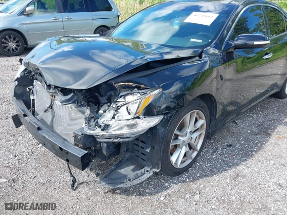 2010 Nissan Maxima 3.5 SV w/Premium Pkg with VIN 1N4AA5AP7AC846190, listed as a IAAI auction lot 40232653 with 136,384 mi miles. Bid and sale history available at carsss.com. Image 6.