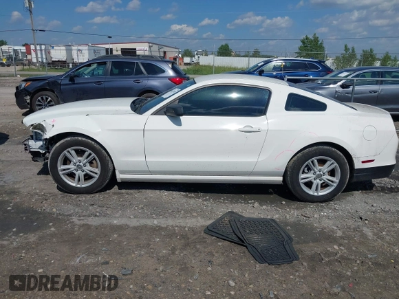 2013 Ford Mustang V6 with VIN 1ZVBP8AM5D5265880, listed as a IAAI auction lot 42617490 with 99,638 mi miles and . Bid and sale history available at DreamBid. Image 15.
