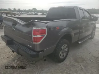 2013 Ford F-150 XL with VIN 1FTEX1CM2DFB20777, listed as a Copart auction lot 59378055 with 163,128 mi miles and Salvage title. Bid and sale history available at DreamBid. Image 3.