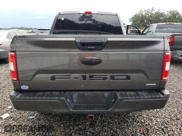 2019 Ford F-150 XL with VIN 1FTEW1CP2KKD94918, listed as a Copart auction lot 80581174 with Not provided miles and Salvage title. Bid and sale history available at DreamBid. Image 6.