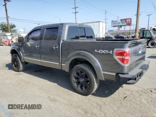 2013 Ford F-150 XL with VIN 1FTFW1ET6DFA19009, listed as a Copart auction lot 62916325 with 132,497 mi miles and Salvage title. Bid and sale history available at DreamBid. Image 2.