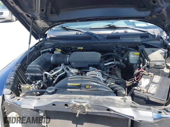 2005 Dodge Dakota SLT with VIN 1D7HW48N05S113487, listed as a IAAI auction lot 42029813 with 229,025 mi miles. Bid and sale history available at carsss.com. Image 10.
