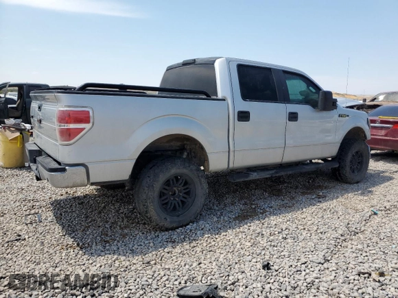 2009 Ford F-150 XL with VIN 1FTRW12879FA42609, listed as a Copart auction lot 62177534 with 157,629 mi miles and Salvage Title. Bid and sale history available at carsss.com. Image 3.
