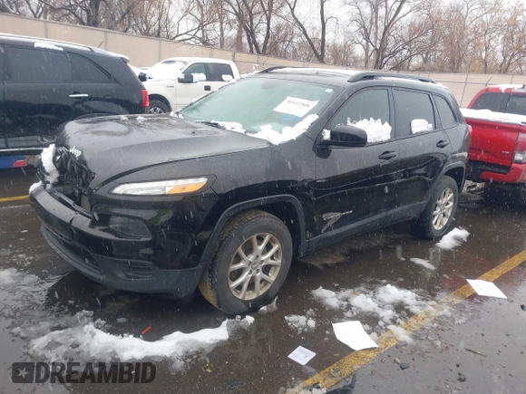 2017 Jeep Cherokee Sport with VIN 1C4PJMAB3HW599844, listed as a IAAI auction lot 41612508 with 112,237 mi miles. Bid and sale history available at carsss.com. Image 2.