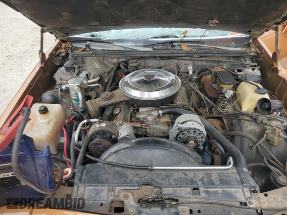 1978 Chevrolet El Camino z VIN 1W80L8Z418311, wystawiony jako Copart lot #71751334 z przebiegiem 9 032 mil mil oraz Szkoda całkowita • Salvage title. Historia ofert i sprzedaży dostępna na DreamBid. Obrazek 11.