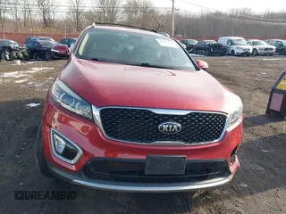 2017 Kia Sorento EX with VIN 5XYPHDA51HG313606, listed as a IAAI auction lot 41203028 with 46 mi miles and . Bid and sale history available at DreamBid. Image 11.
