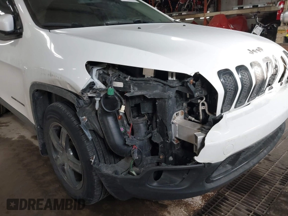 2014 Jeep Cherokee Latitude with VIN 1C4PJMCS5EW288909, listed as a IAAI auction lot 41531117 with 108,971 mi miles and . Bid and sale history available at DreamBid. Image 6.