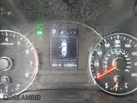 2018 Kia Forte LX with VIN 3KPFL4A76JE260688, listed as a Copart auction lot 44313295 with 123,884 mi miles and Salvage Title. Bid and sale history available at carsss.com. Image 9.